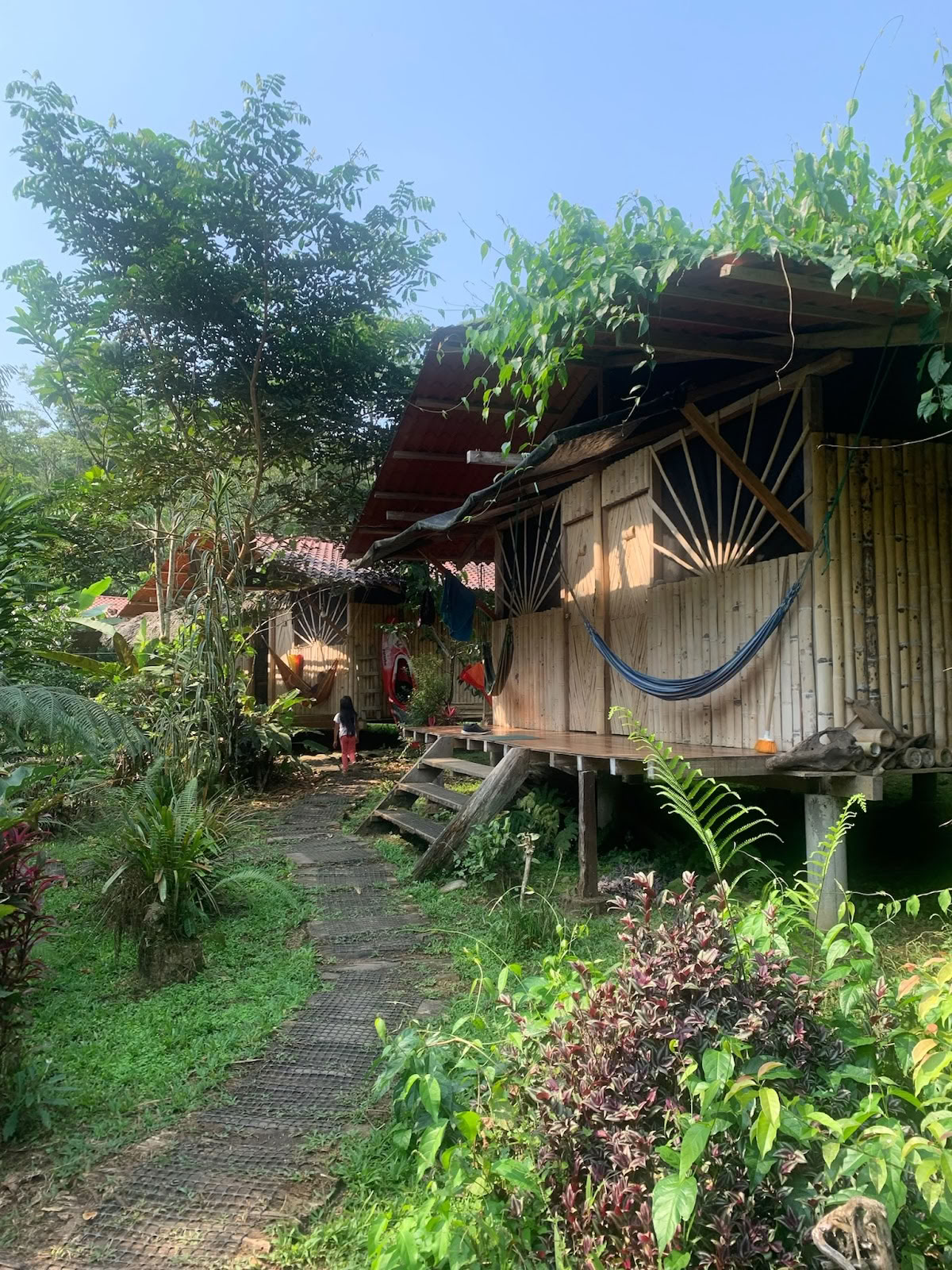 Feather Crown Ayahuasca Ecuador