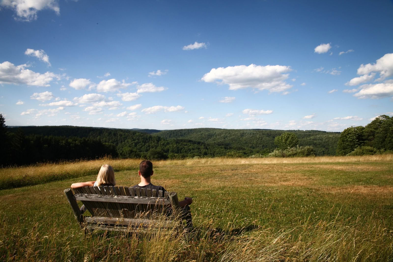 The Himalayan Institute