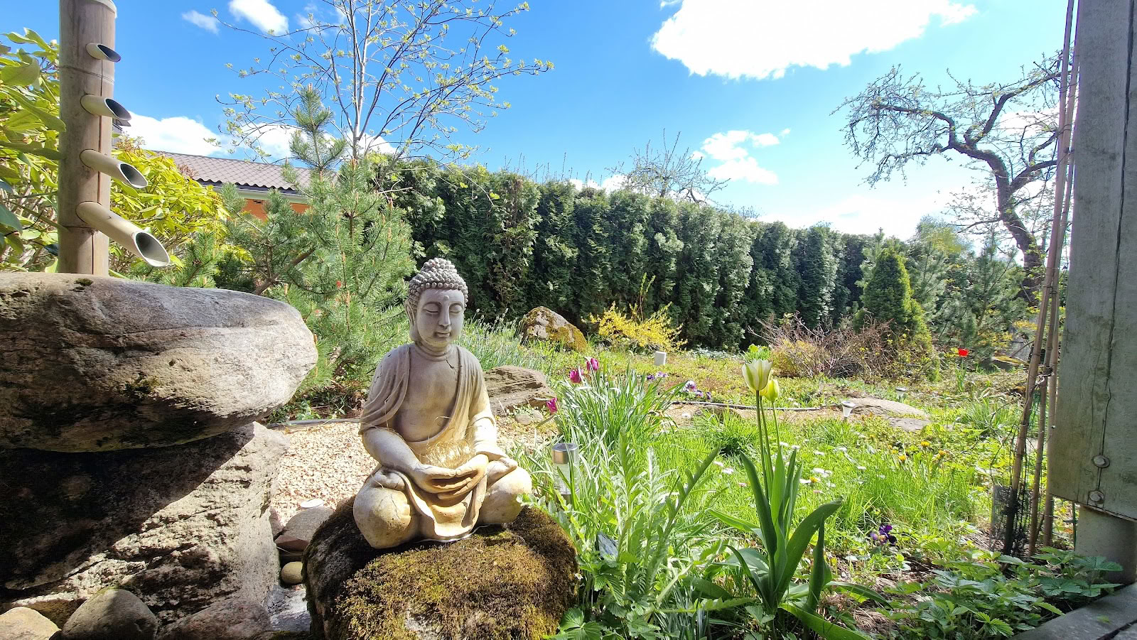 Meditacijos centras Ojas, Resortas / OJAS Meditation Center Resort