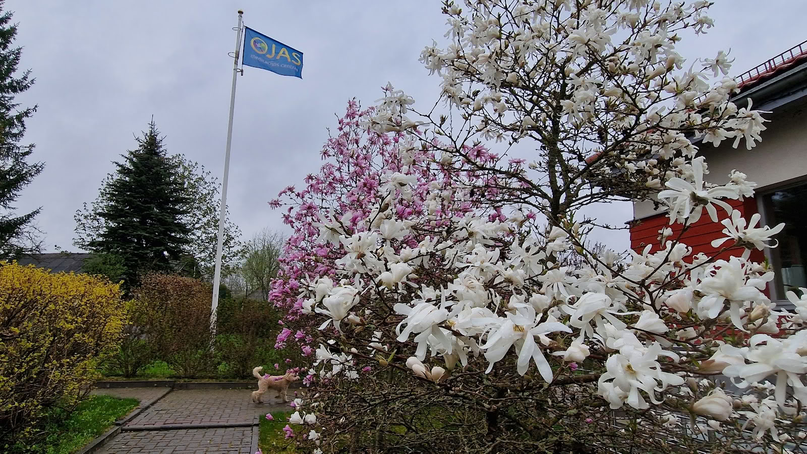 Meditacijos centras Ojas, Resortas / OJAS Meditation Center Resort