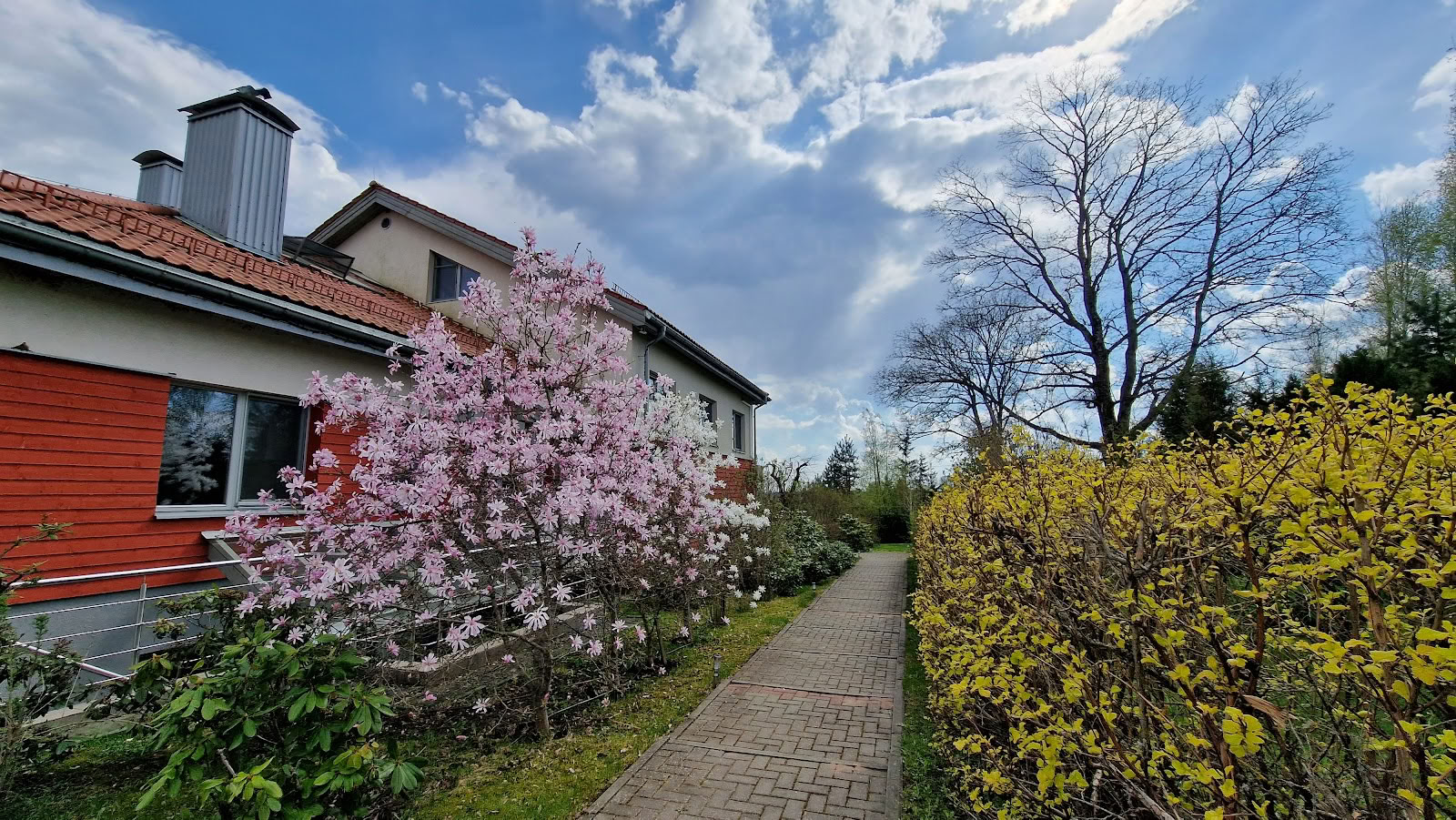 Meditacijos centras Ojas, Resortas / OJAS Meditation Center Resort