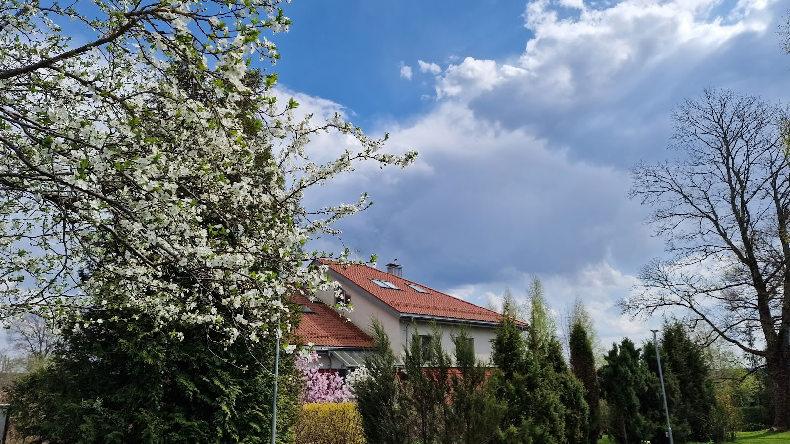 Meditacijos centras Ojas, Resortas / OJAS Meditation Center Resort