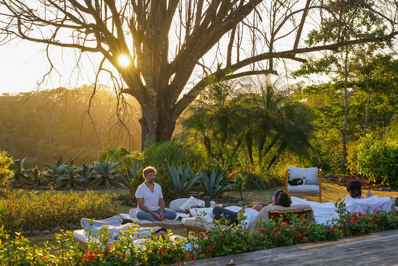 Inwardbound Institute (Psilocybin Retreats)