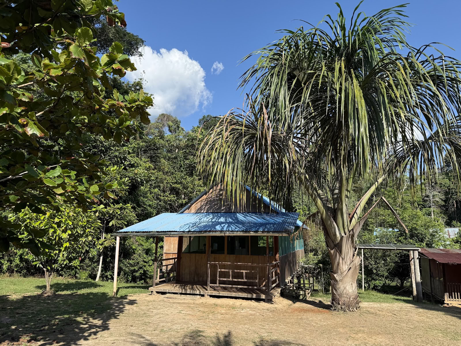 AYA Healing Retreats