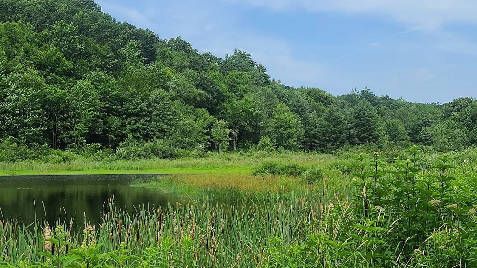 Easton Mountain Retreat Center