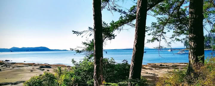 The Haven