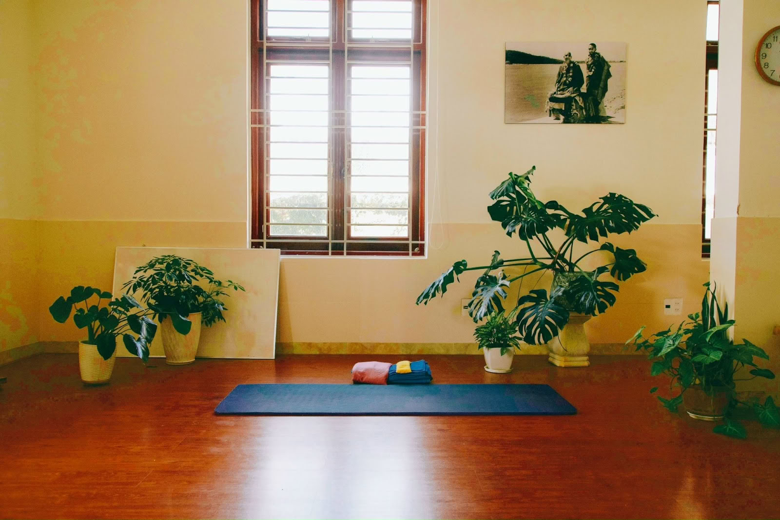 Sivananda Yoga Vedanta Center Dalat