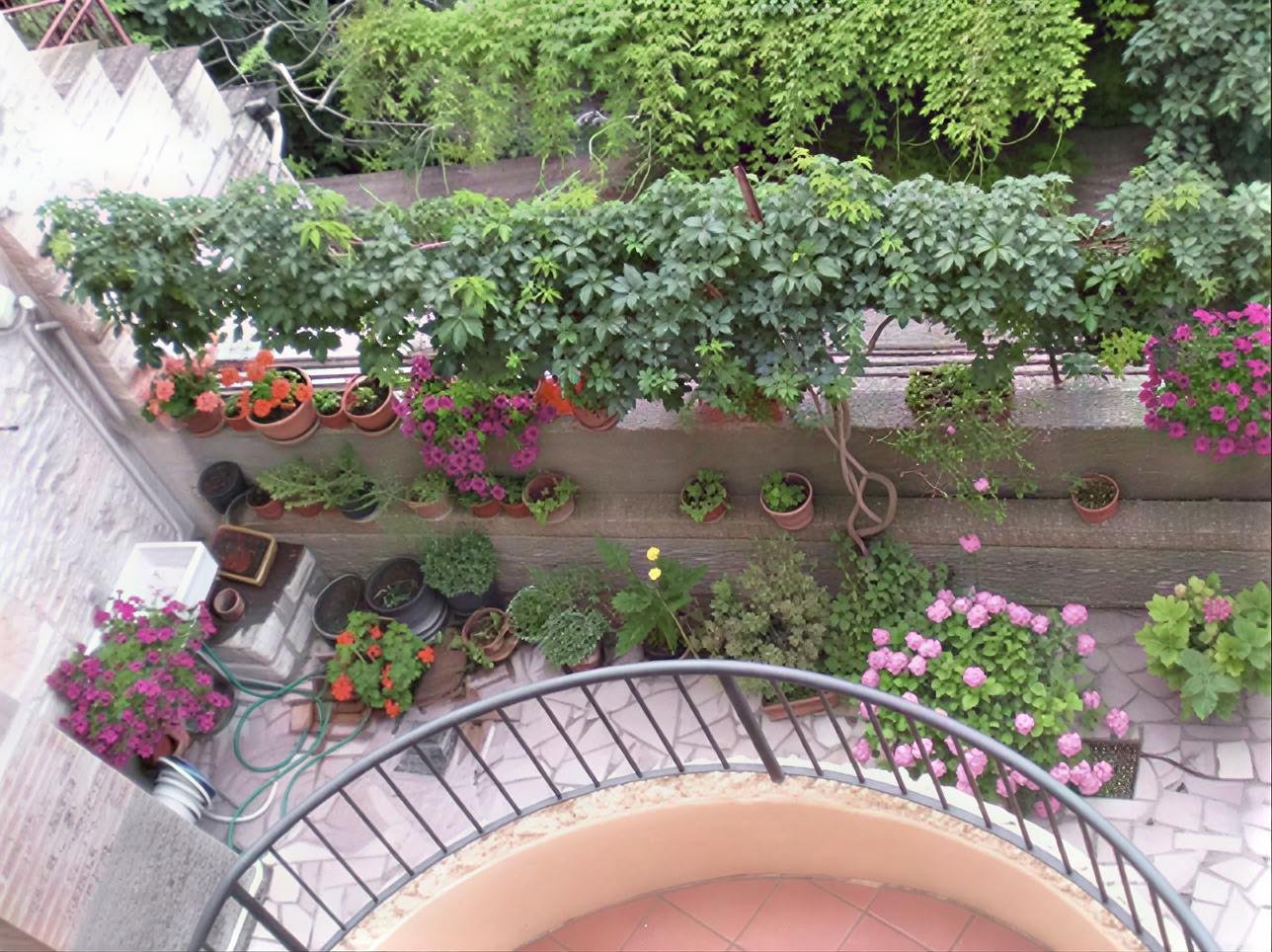 Meditation Retreats in the Simple Peace of Assisi, Italy