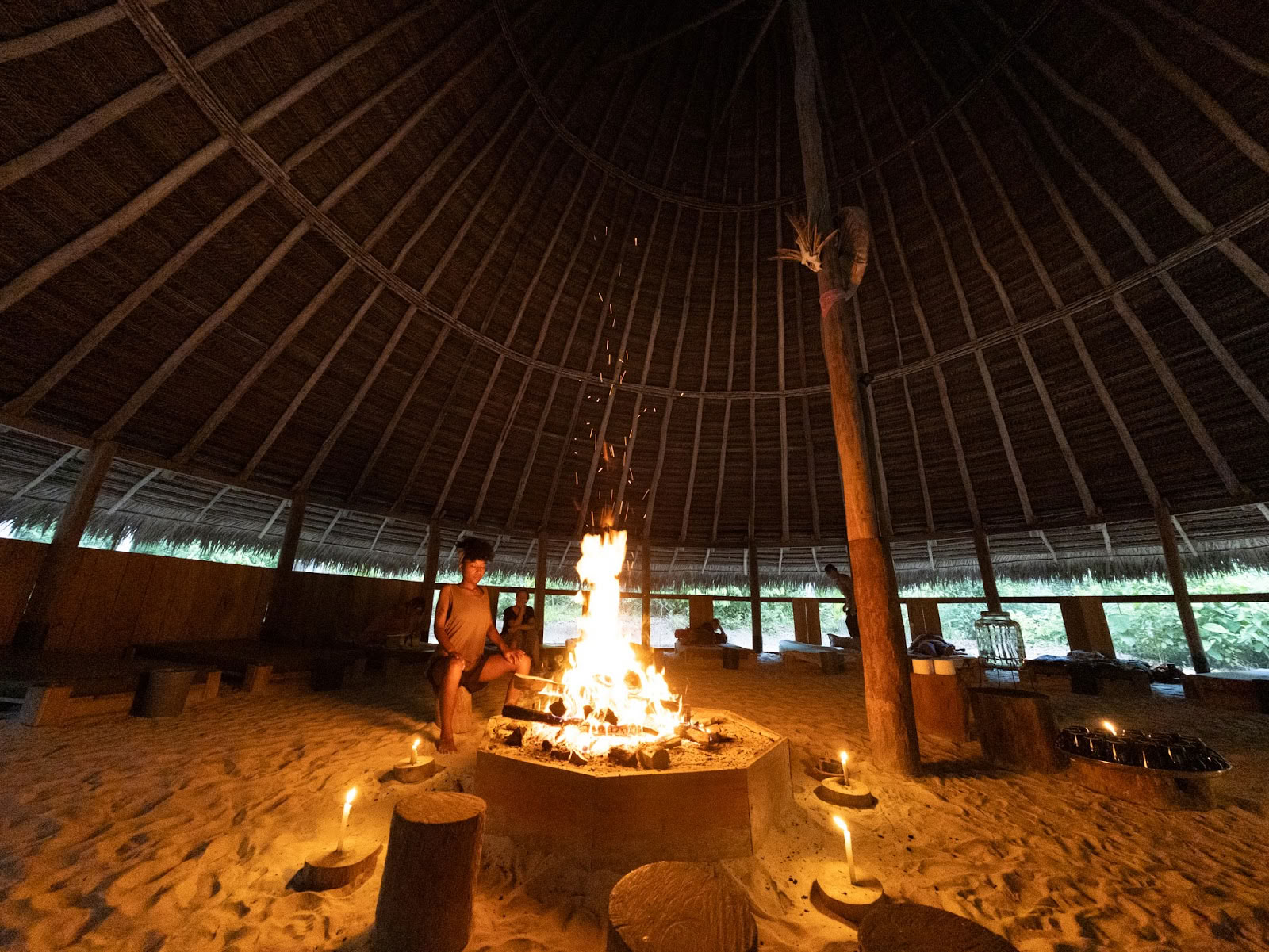 Psychonauta Foundation