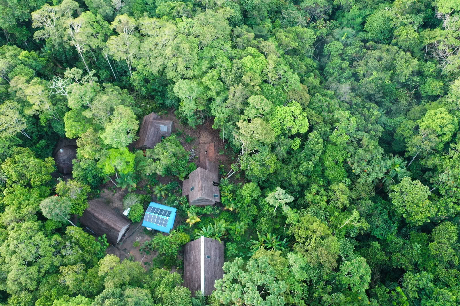 Psychonauta Foundation