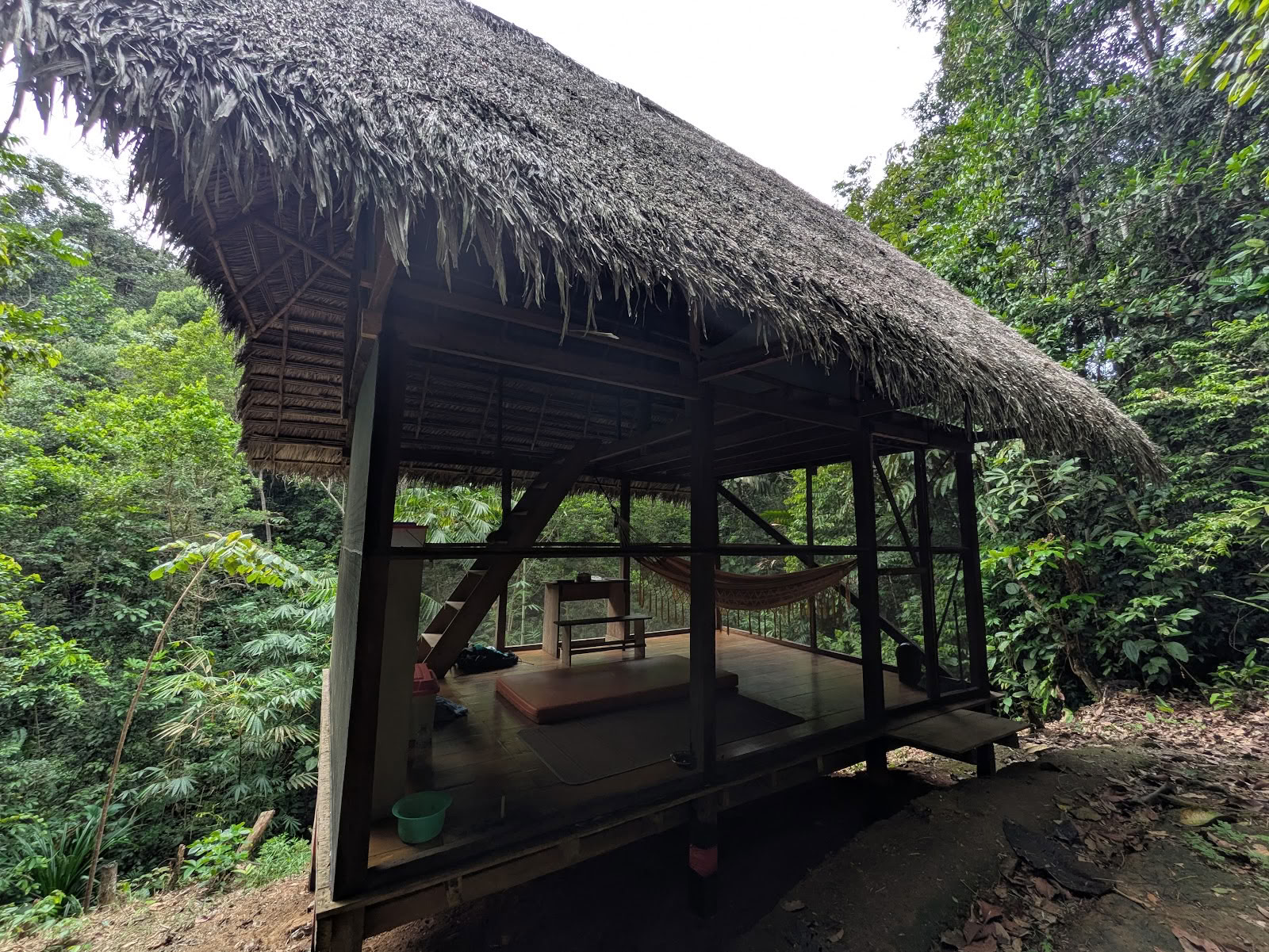 Psychonauta Foundation