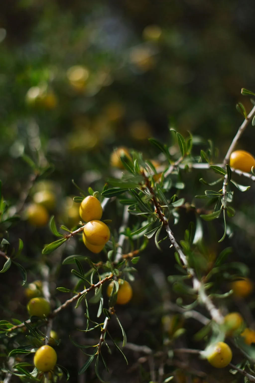 La Vida Surf - Yoga Retreats