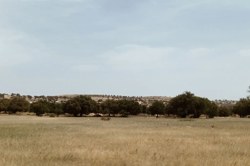 La Vida Surf - Yoga Retreats