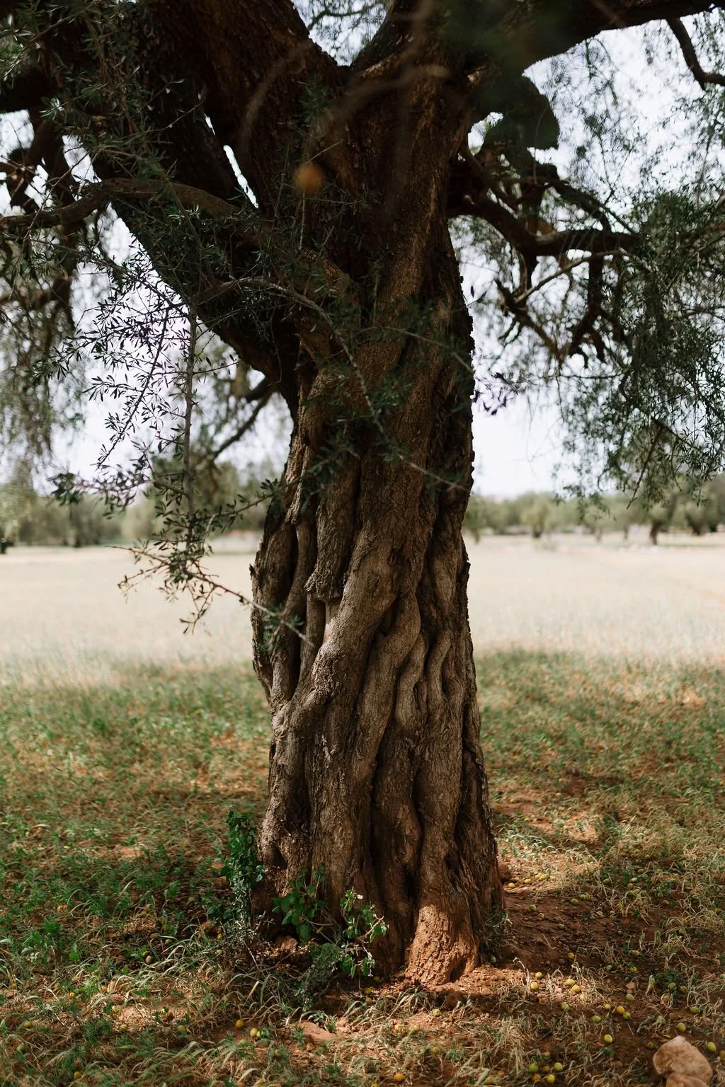 La Vida Surf - Yoga Retreats