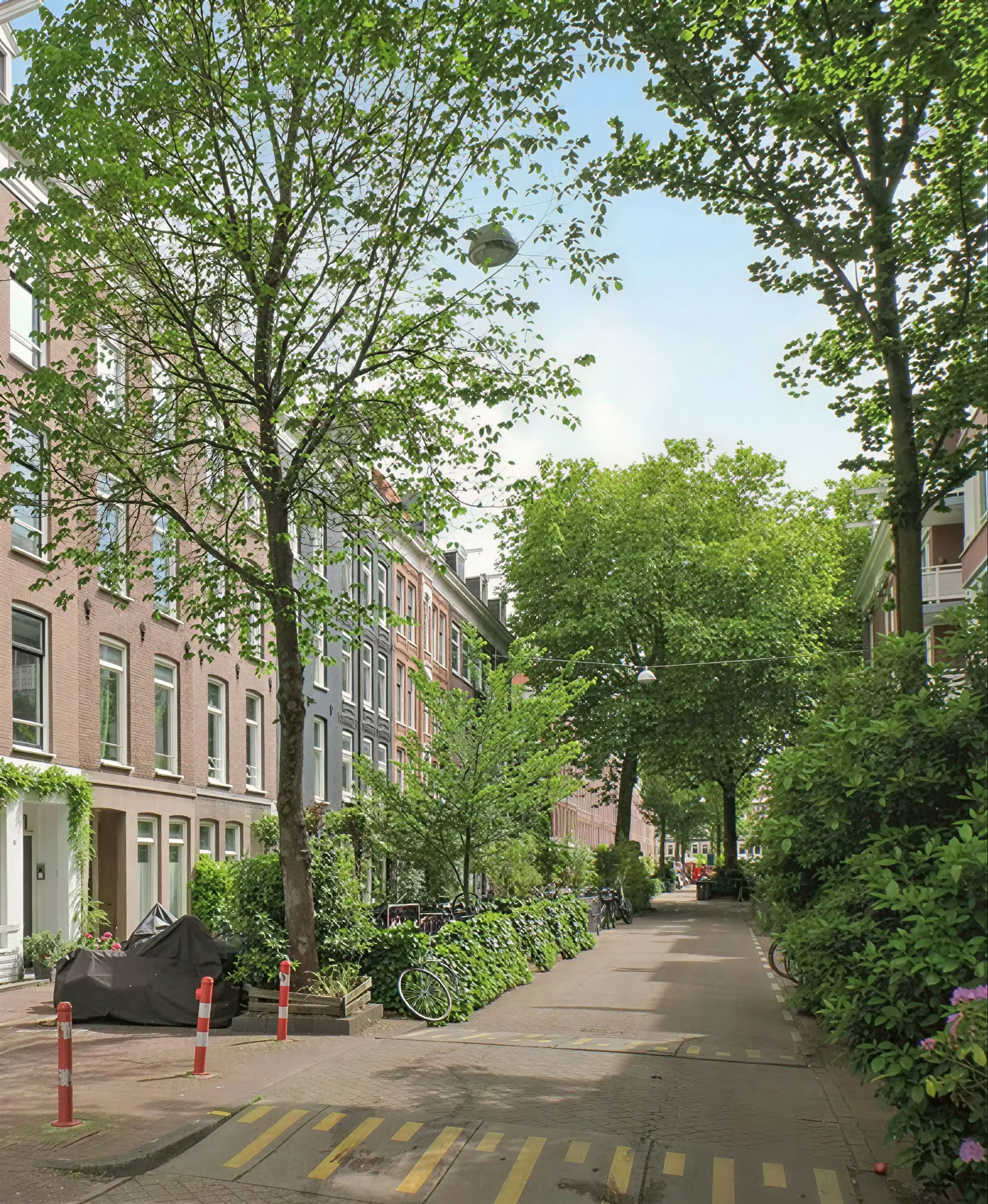 Experiential Training Institute - Psychedelic Psilocybin Retreats & Training