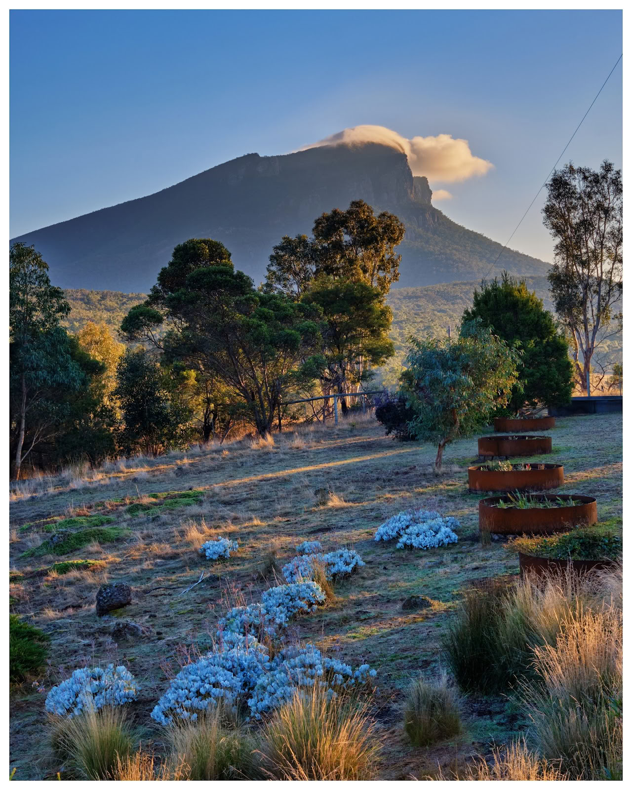 Griffins Hill Iyengar Yoga Retreat