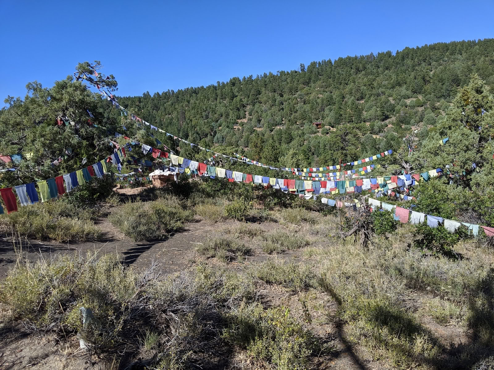 Tara Mandala Buddhist Retreat