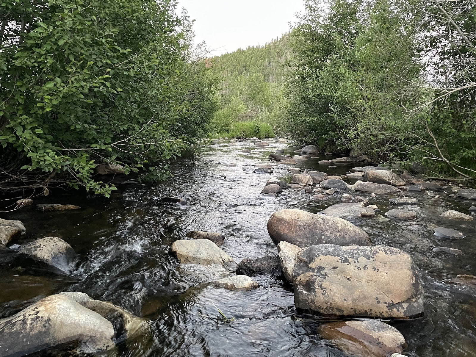 Vallecitos Mountain Retreat Center