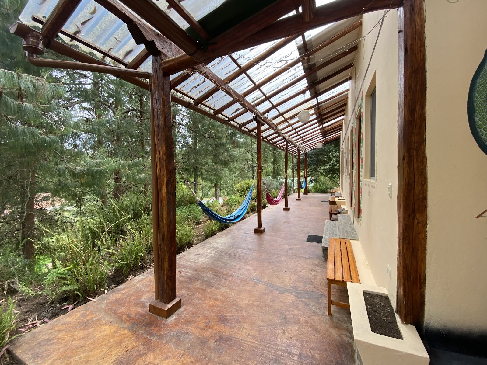 Gaia Sagrada Ayahuasca Retreat Center