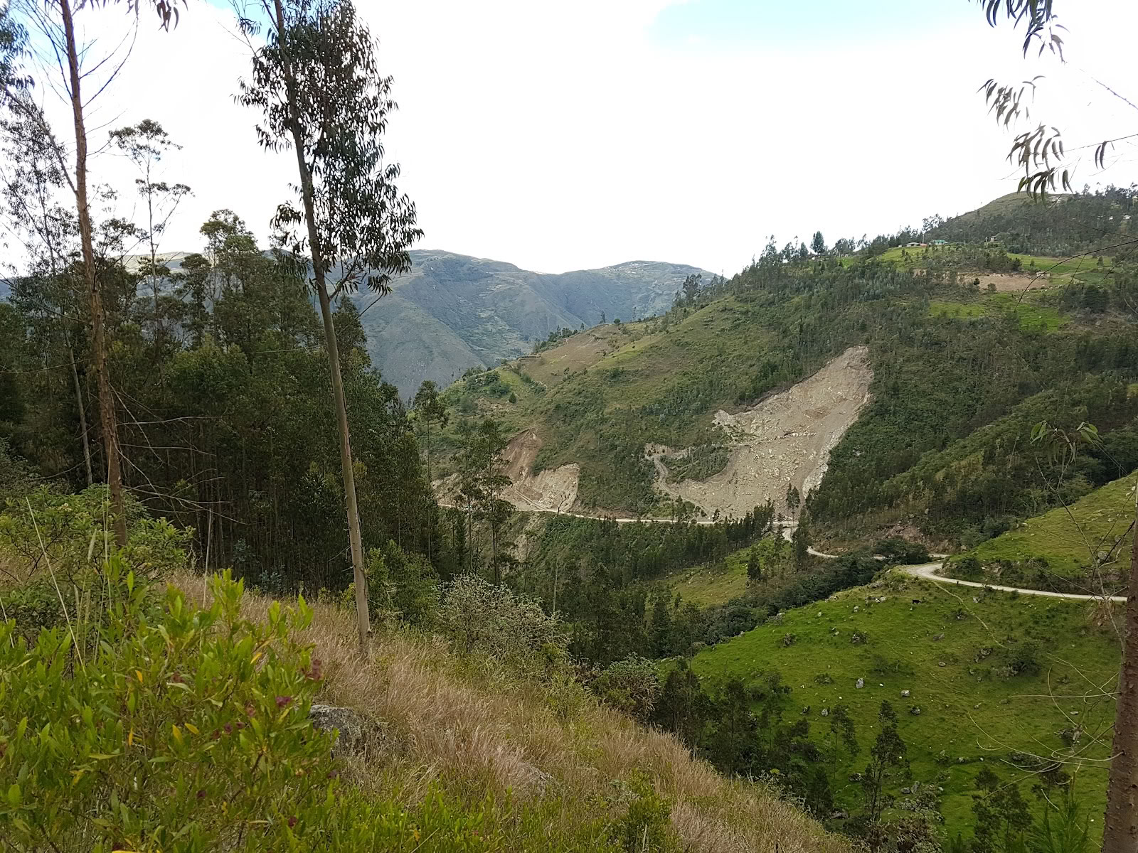 Gaia Sagrada Ayahuasca Retreat Center
