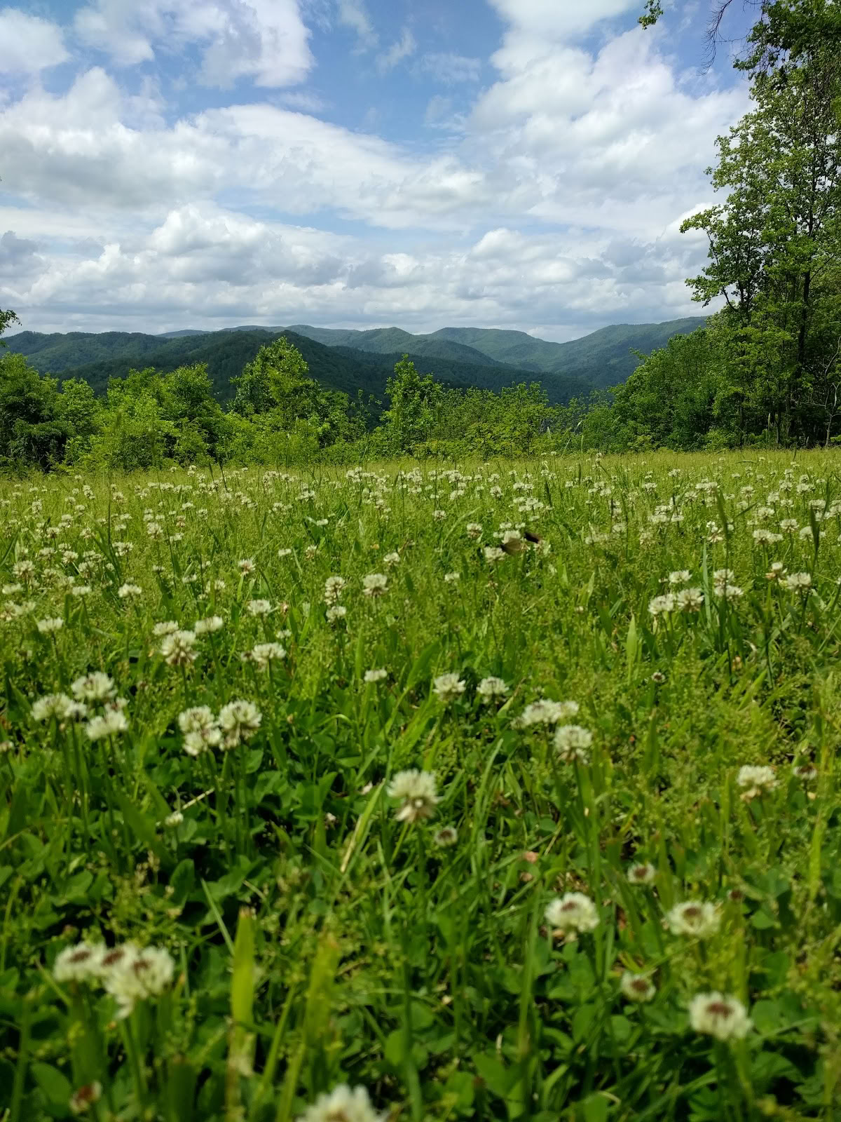 Southern Dharma Retreat Center