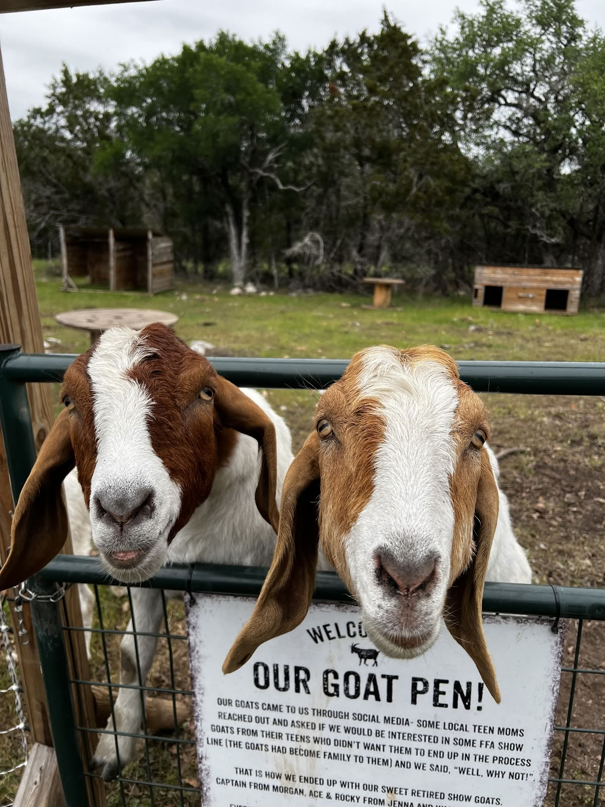 Mind and Body Complete Wellness