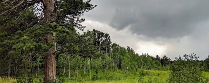 Rocky Mountain Ecodharma Retreat Center