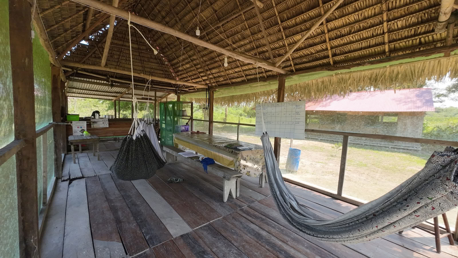 Shipibo Ayahuasca & Shamanism Foundation
