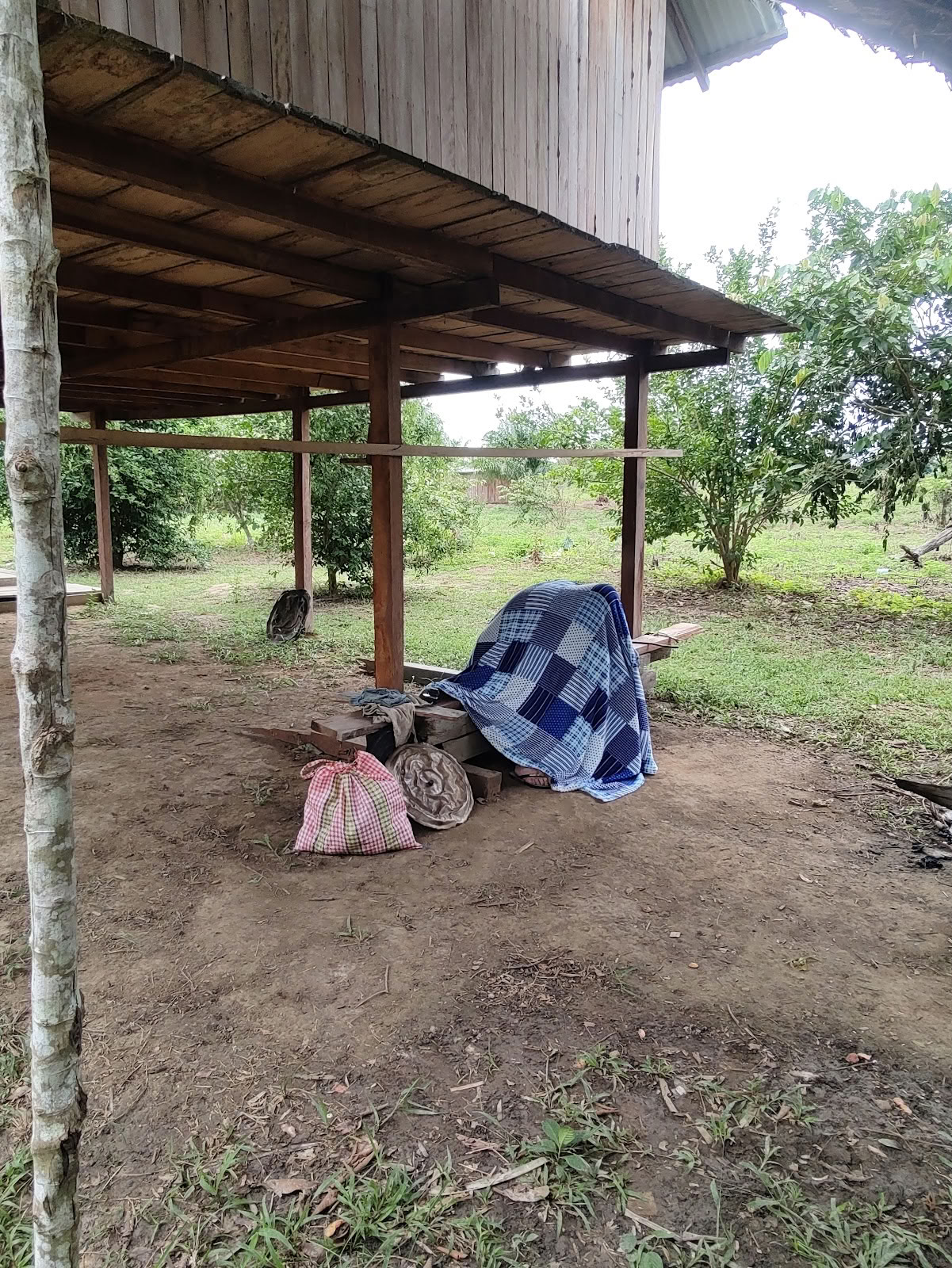 Shipibo Ayahuasca & Shamanism Foundation