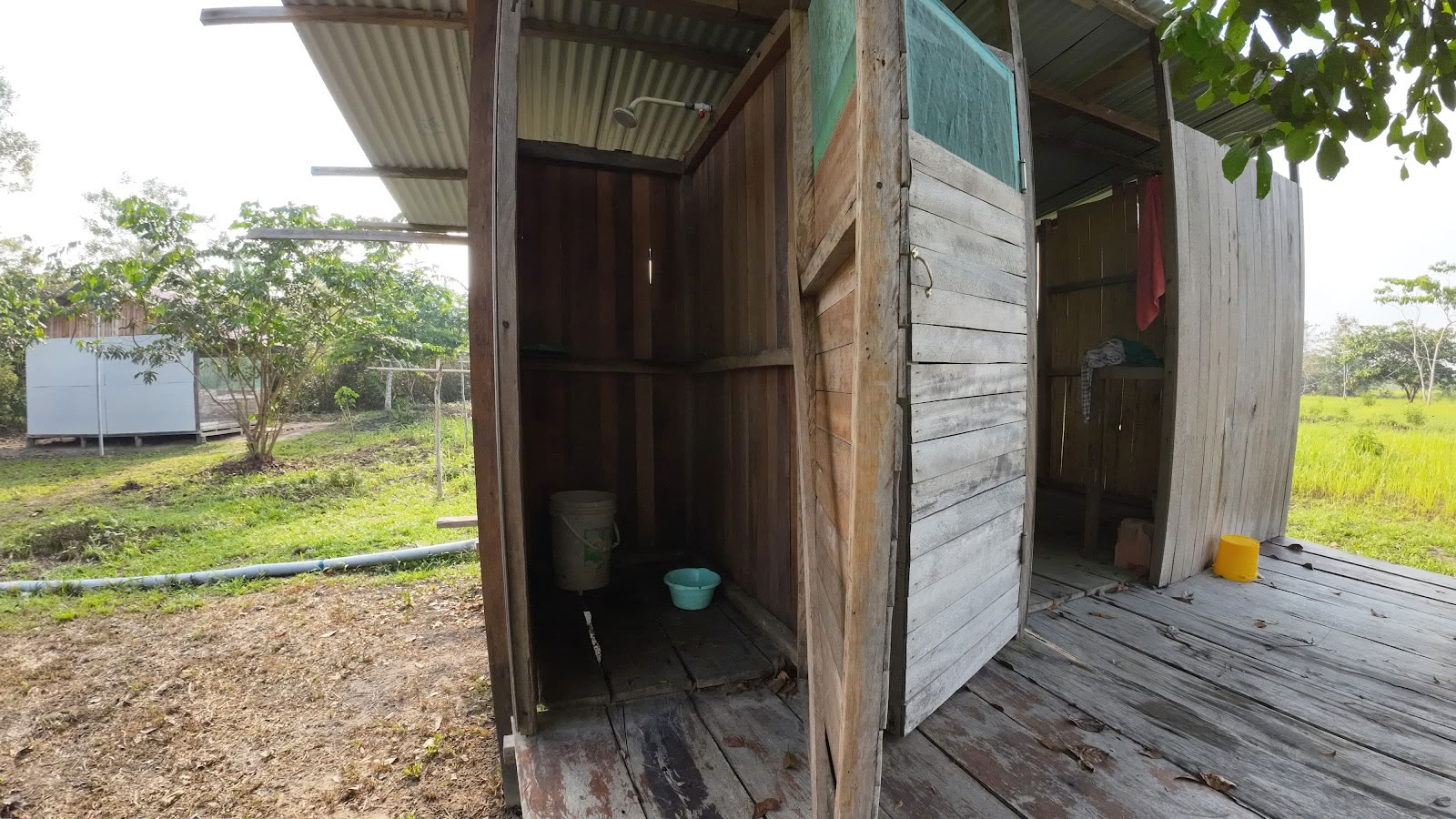 Shipibo Ayahuasca & Shamanism Foundation