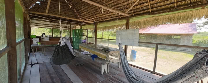 Shipibo Ayahuasca & Shamanism Foundation