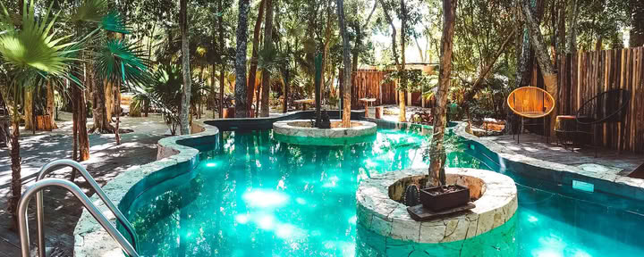 Bufo Alvarius Sanctuary