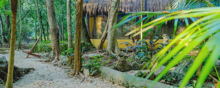 One Breath of Yoga Ashram