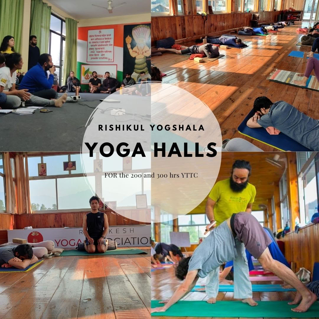 Rishikul Yogshala Rishikesh - Yoga Teacher Training in Rishikesh India