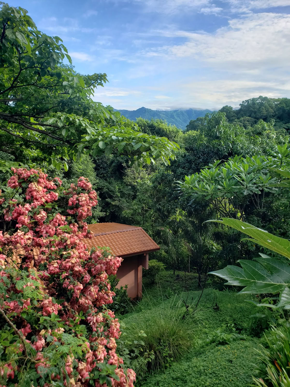 AmaTierra Yoga Retreat and Wellness Center