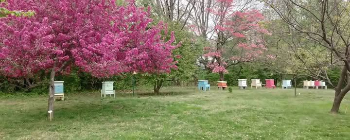 Cranaleith Spiritual Center