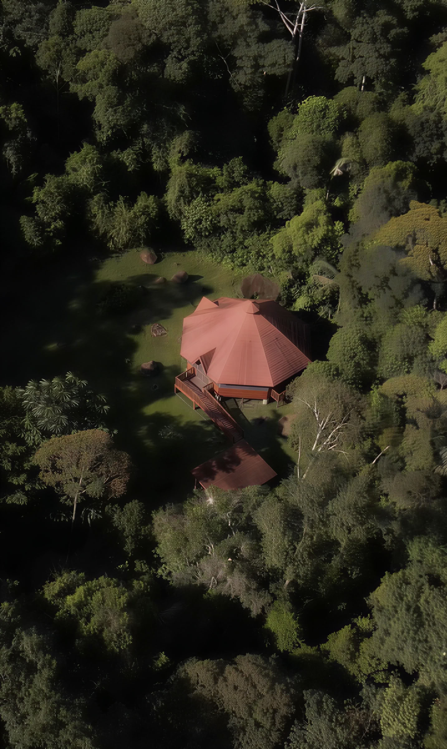 Jungle Harmony - Ayahuasca Retreats Yagé