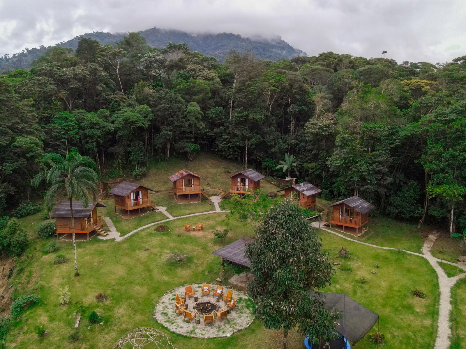 Jungle Harmony - Ayahuasca Retreats Yagé