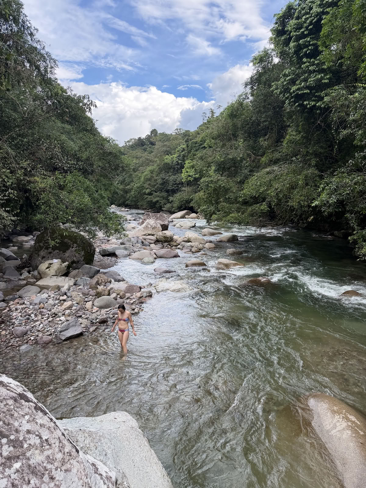 Jungle Harmony - Ayahuasca Retreats Yagé