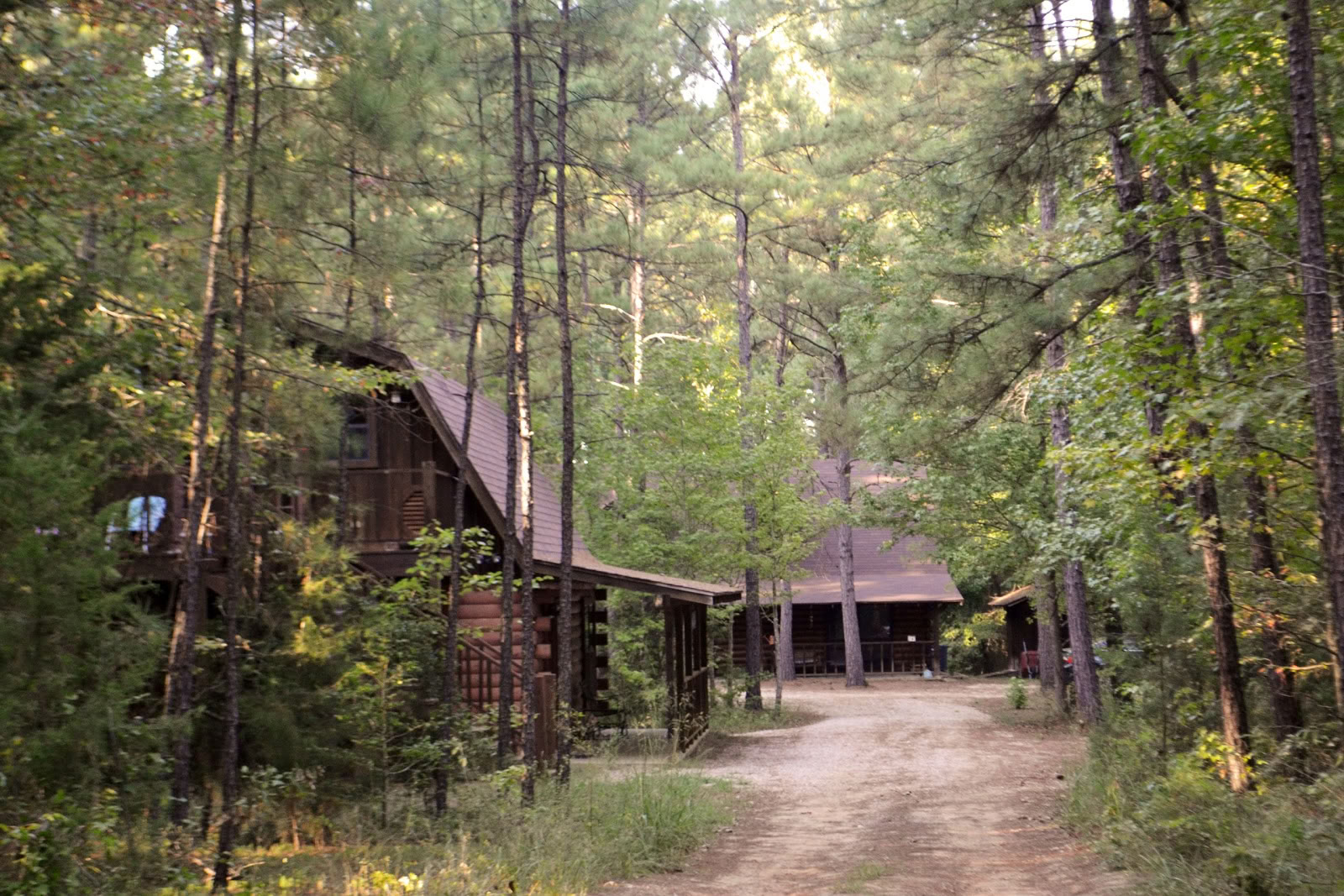 Retreat in the Pines