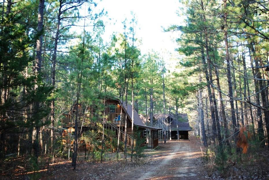 Retreat in the Pines