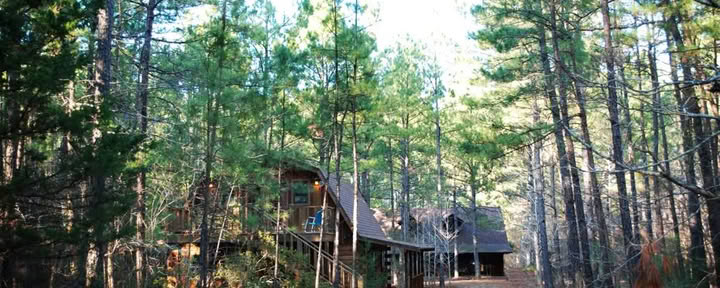 Retreat in the Pines