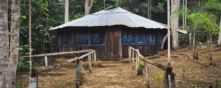 El Purguero Ayahuasca Retreat