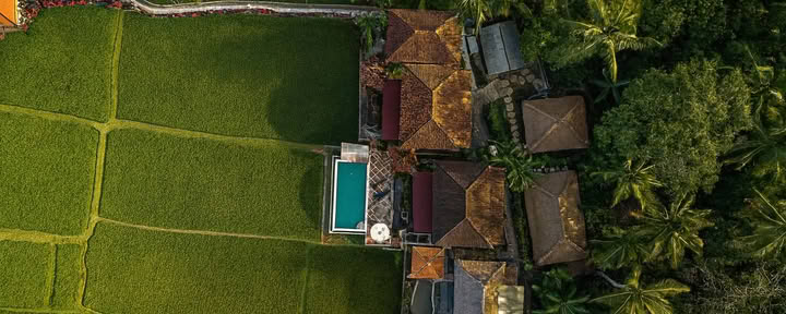 Firefly Retreat