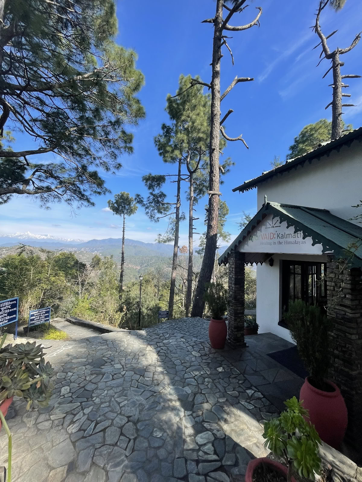 AyurVAID Kalmatia - Centre of Healing in Almora, Uttrakhand