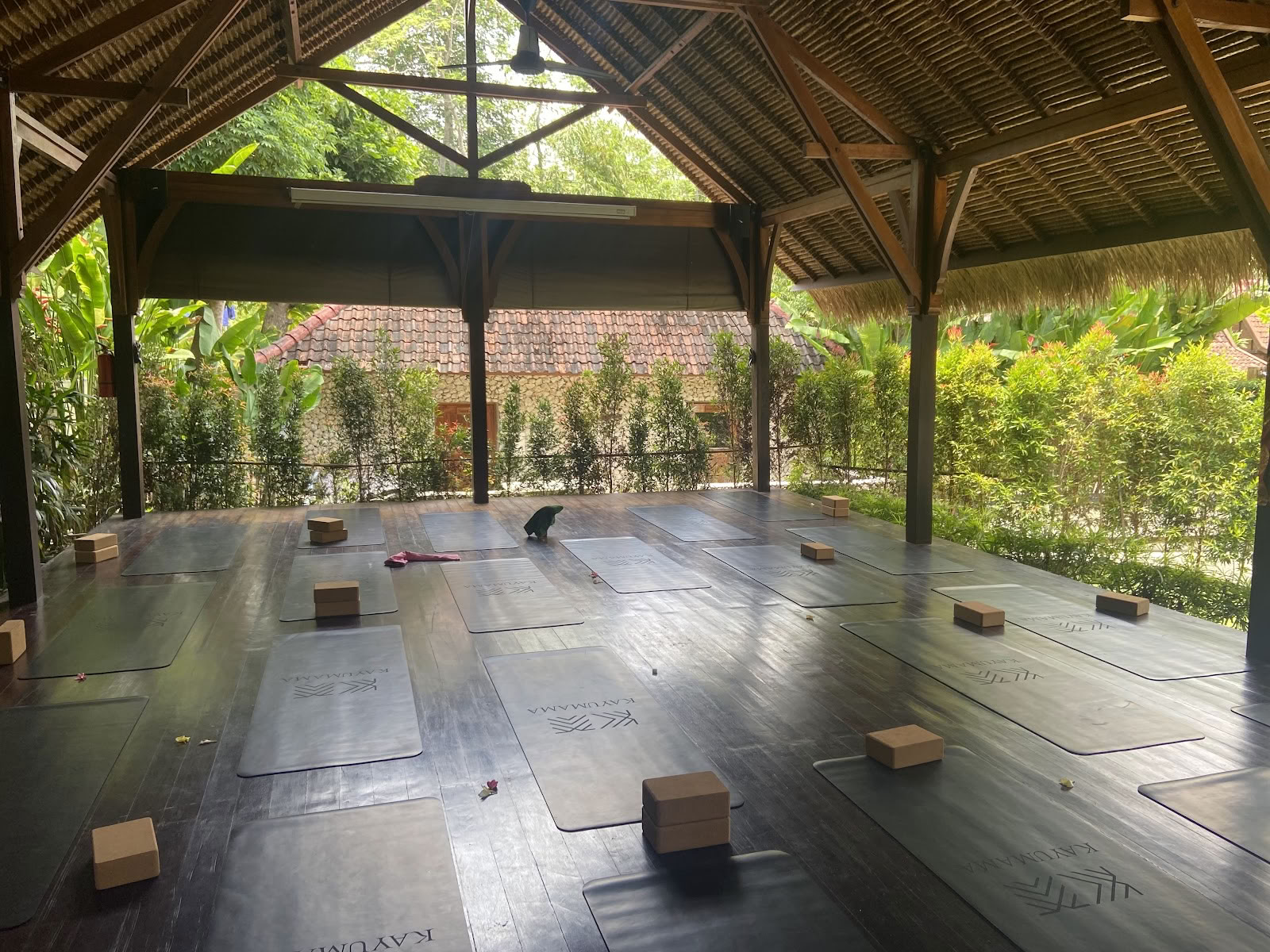 SoHA School of Healing Arts - Yoga Teacher Trainings