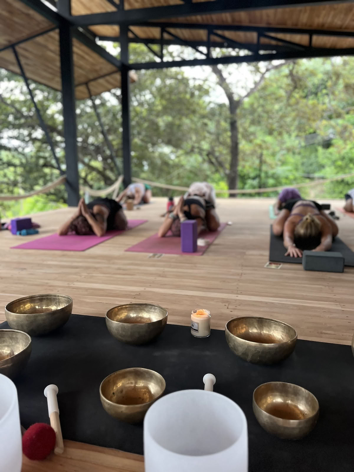 Hari OM Yoga and Wellness
