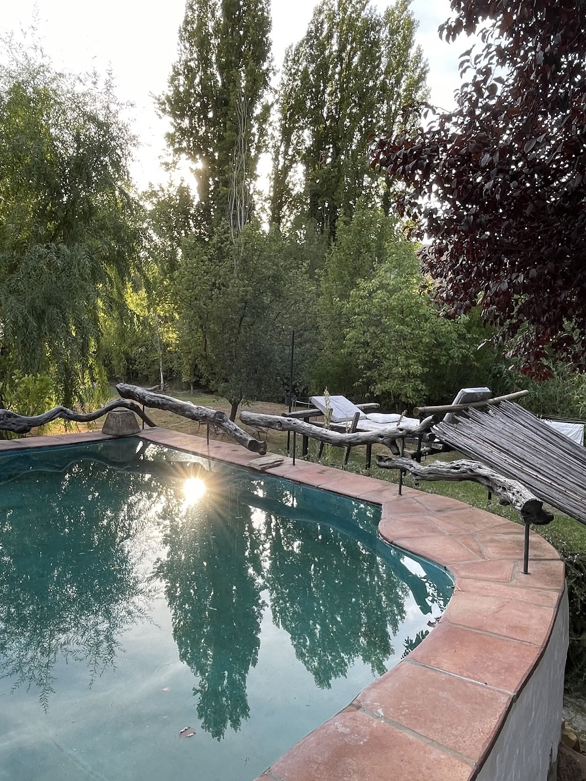 Cinco Lunas - Retreat Center & Vegetarian Conscious Guesthouse