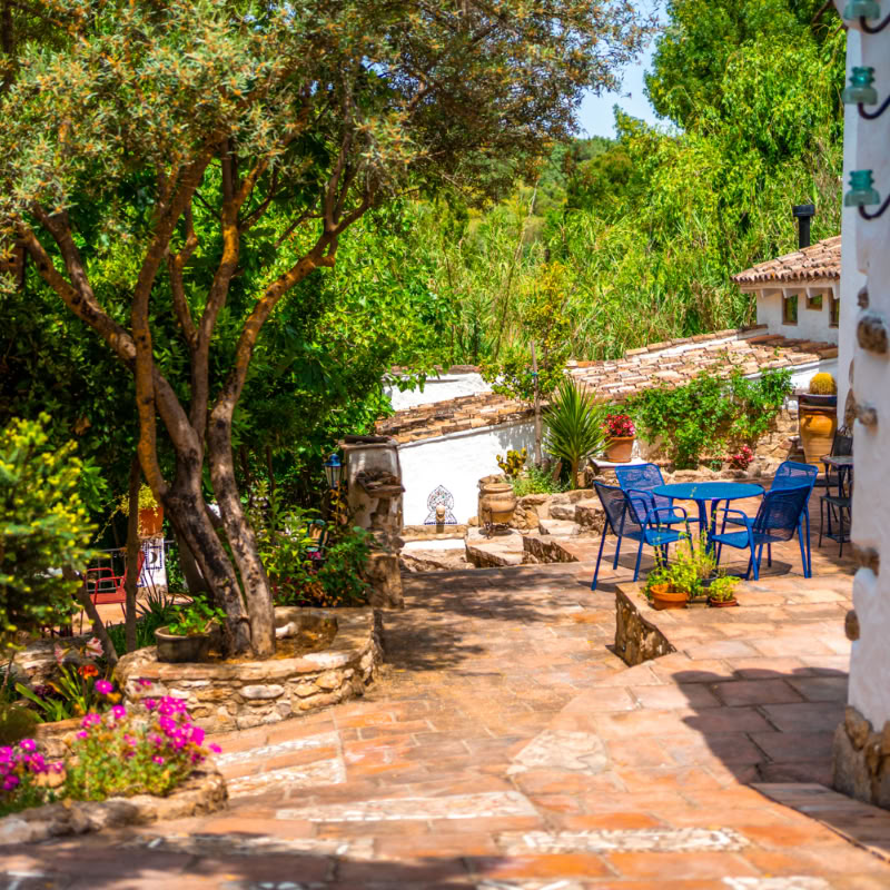 Cinco Lunas - Retreat Center & Vegetarian Conscious Guesthouse