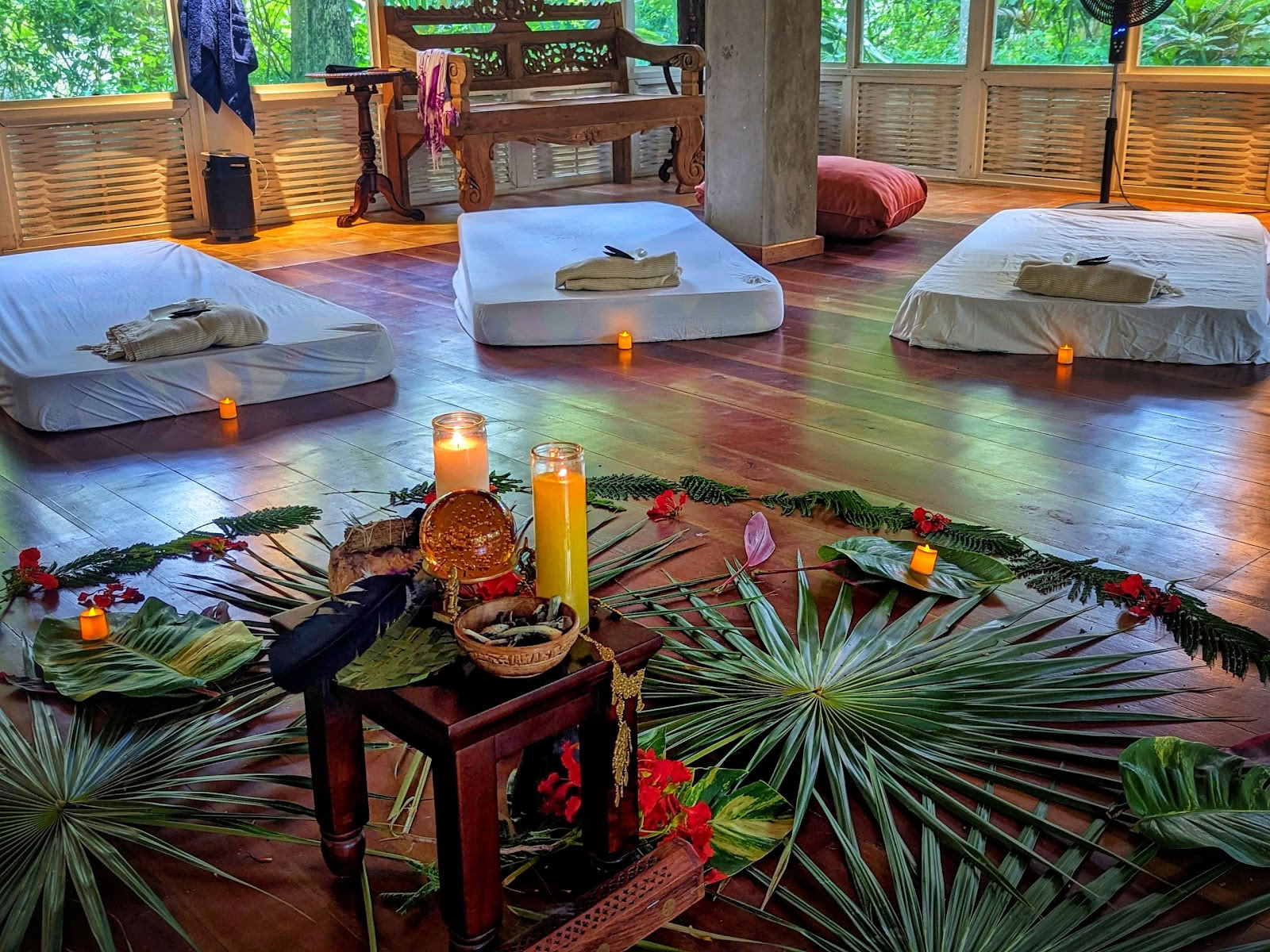 ONE Retreats | Psilocybin Mushroom Retreats
